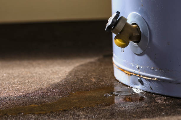 Best 24-hour water damage restoration  in Bridgewater, VA
