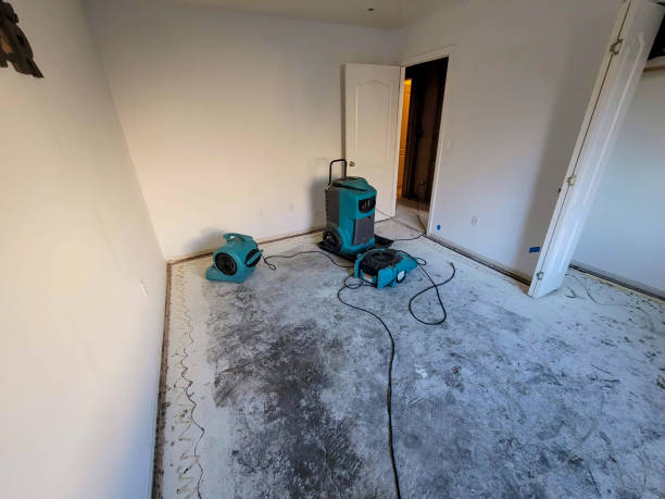 Best Carpet water damage restoration  in Bridgewater, VA