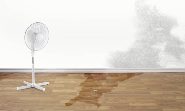 Best Ceiling water damage repair  in Bridgewater, VA