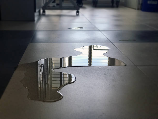 Best Water damage restoration near me  in Bridgewater, VA