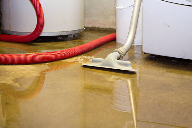 Best Carpet water damage restoration  in Bridgewater, VA