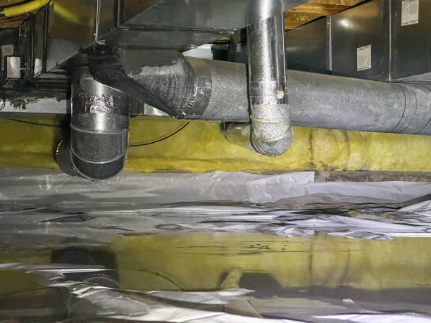 Best Water damage repair service  in Bridgewater, VA
