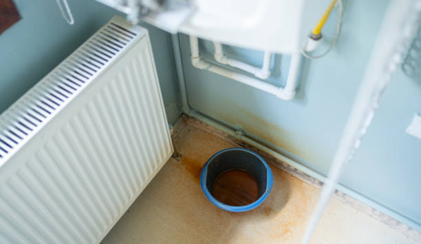  Bridgewater, VA Water damage restoration Pros