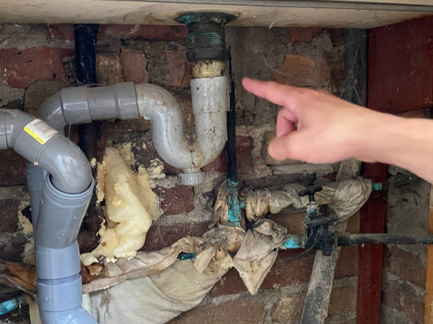 Best Water damage restoration near me  in Bridgewater, VA