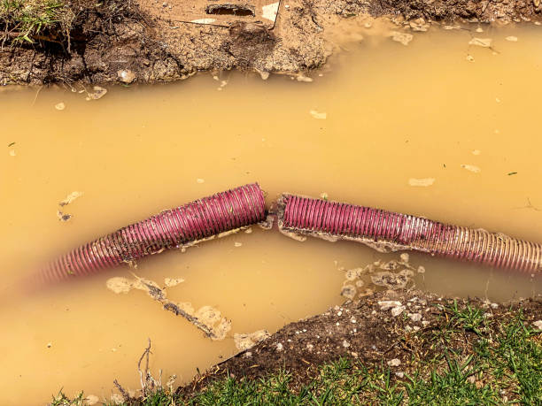 Best Sewage cleanup and water damage restoration  in Bridgewater, VA