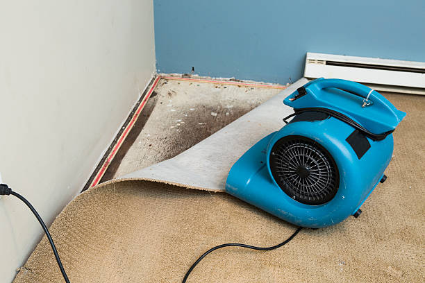 Best Ceiling water damage repair  in Bridgewater, VA